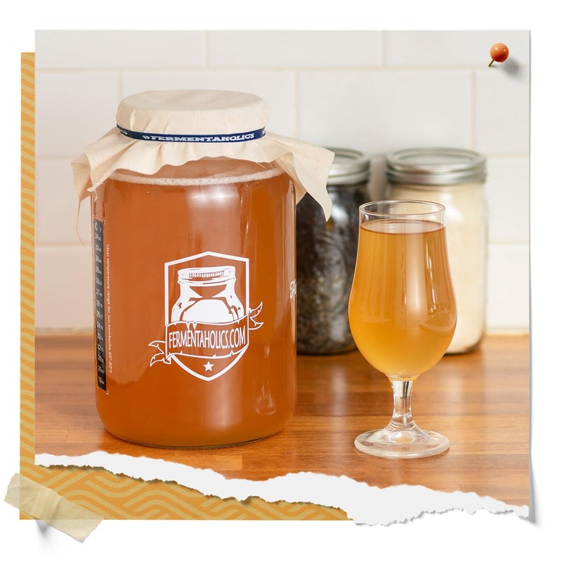 Fermentaholics Kombucha SCOBY - Live Starter Culture - Start A Half Gallon Batch - Six Ounces Of Strong Mature Starter Tea - Brew Your Own Kombucha - Image 5